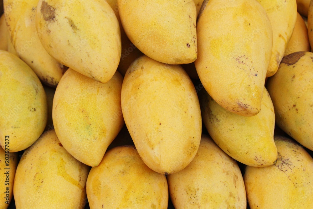 Ripe mango fruit delicious at street food Ripe mango fruit delicious at street food