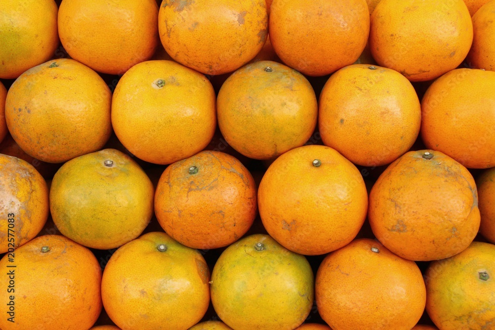 Ripe orange fruit is delicious at market Ripe orange fruit is delicious at market