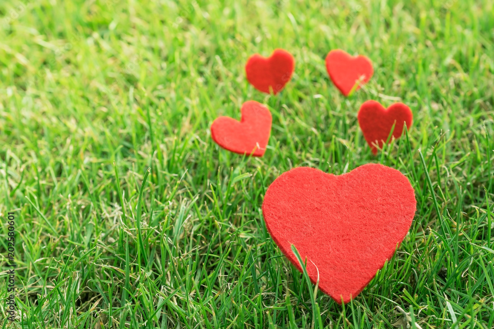 red heart on the green grass backgrounds with copy space red heart on the green grass backgrounds with copy space
