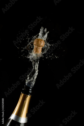 Champagne cork poppins