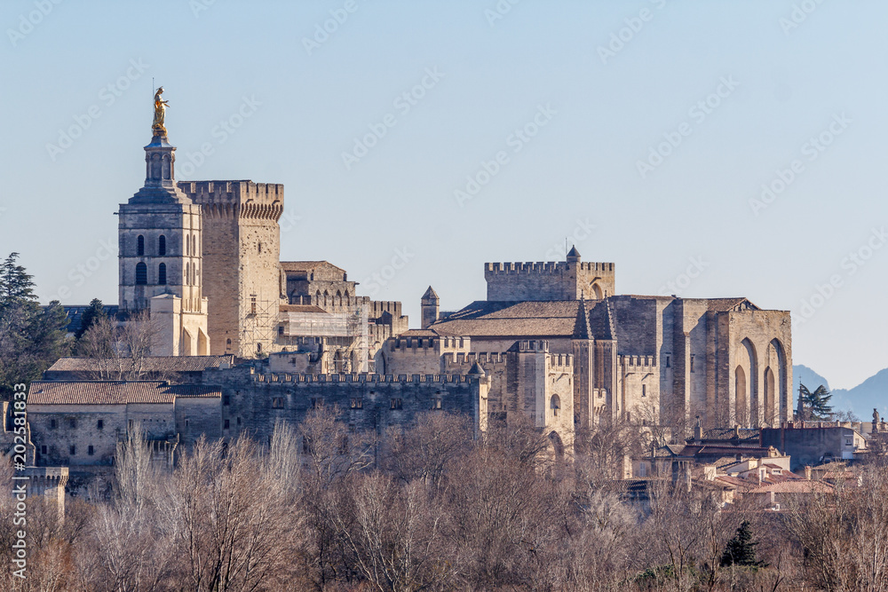 View to the medieval popes palace in Avignon, France