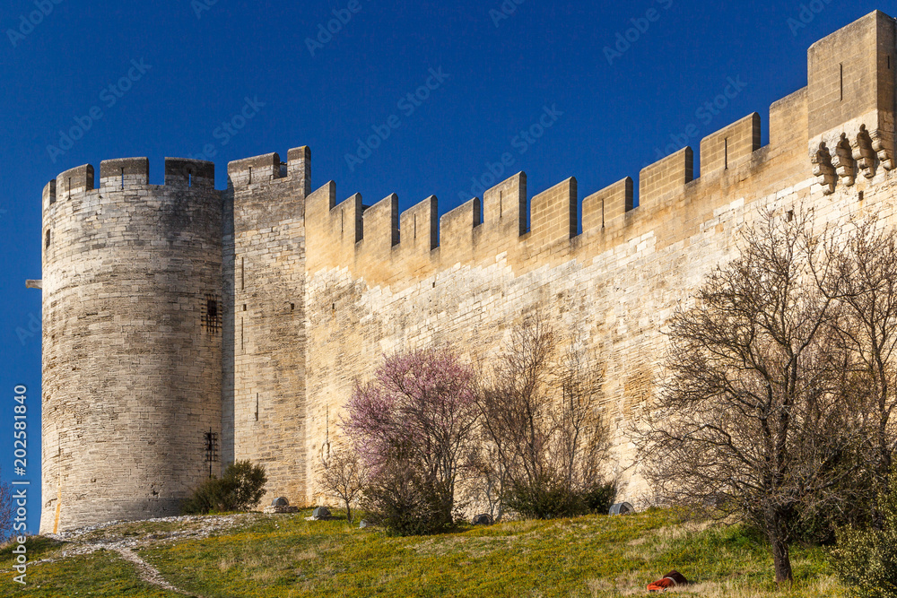 Φωτογραφία Ruins of fort Saint-Andre in Villeneuve-lès-Avignon town, France
