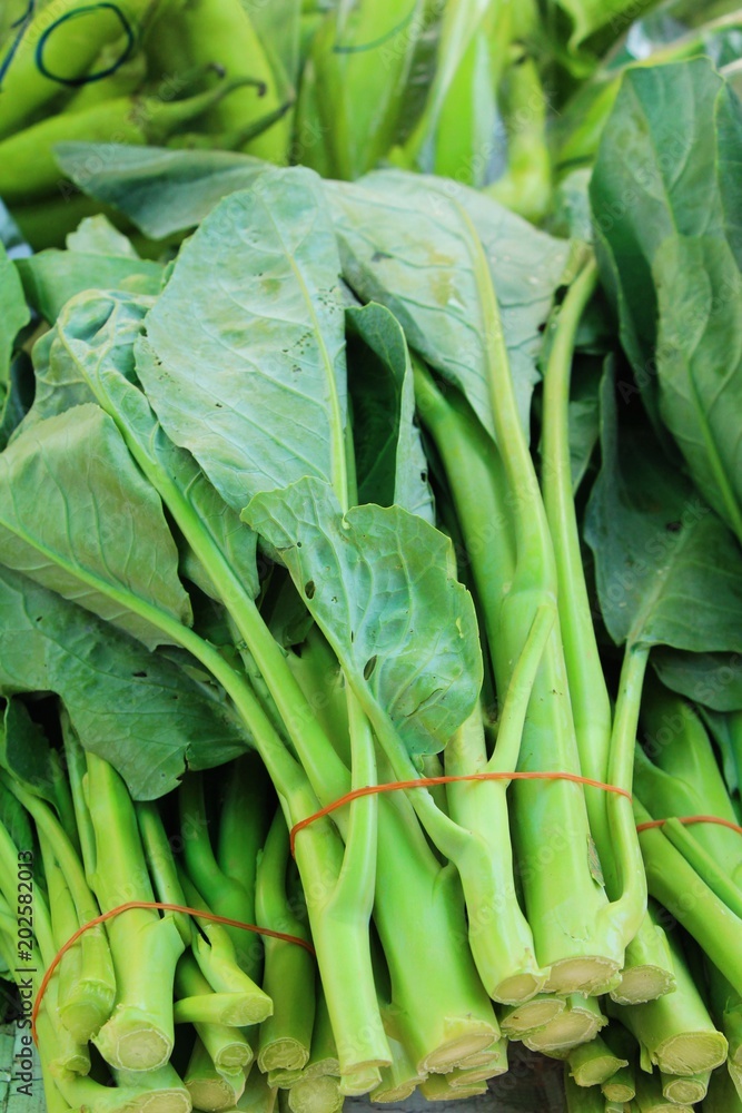Obraz premium Fresh chinese kale in the market