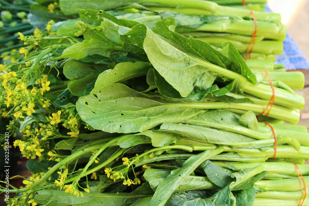 Obraz premium Fresh choy for cooking in the market
