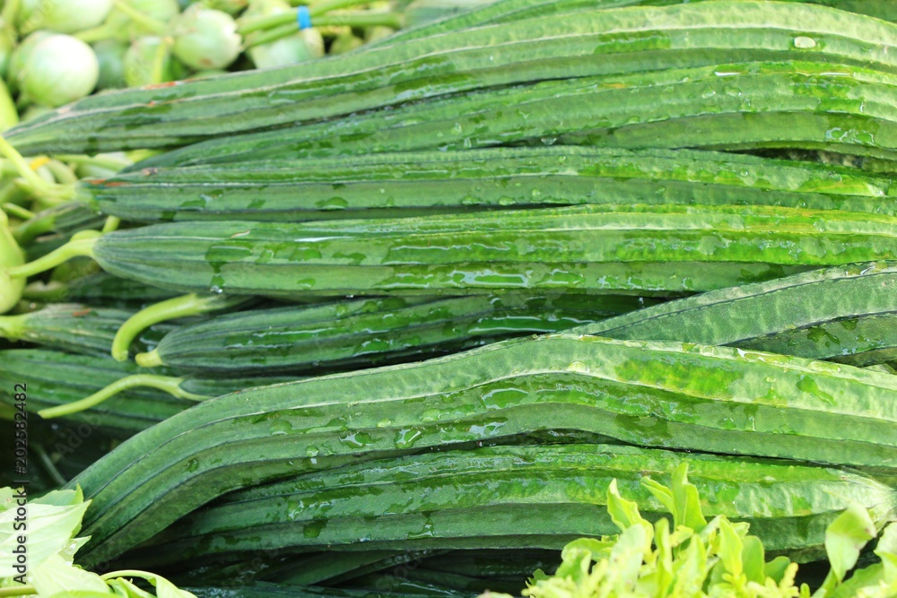 Fresh luffa acutangula for cooking in market Fresh luffa acutangula for cooking in market