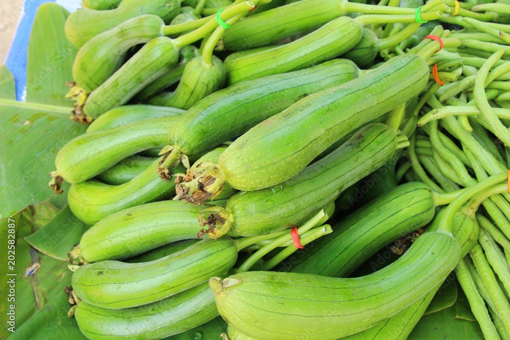 Fresh cucumbers for cooking in the market