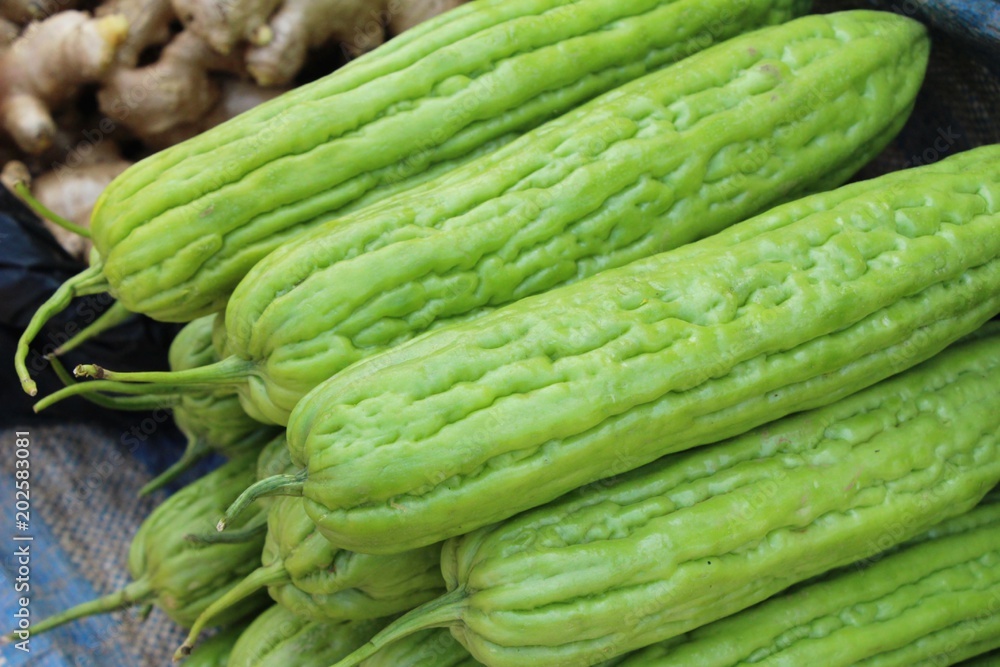 Bitter melon gourd for cooking in market Bitter melon gourd for cooking in market