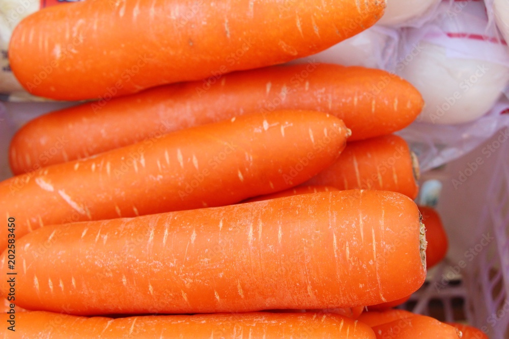 Fresh organic carrots for cooking in market Fresh organic carrots for cooking in market