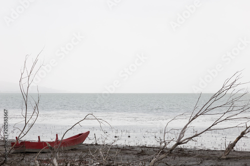 A little red boat on a lake shore near some skeletal trees, on a moody day