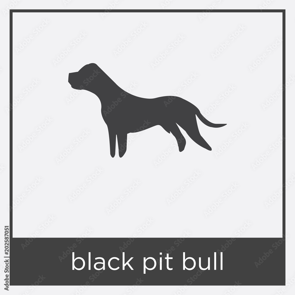 black pit bull icon isolated on white background black pit bull icon isolated on white background