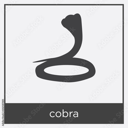 cobra icon isolated on white background