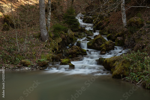 Wasser