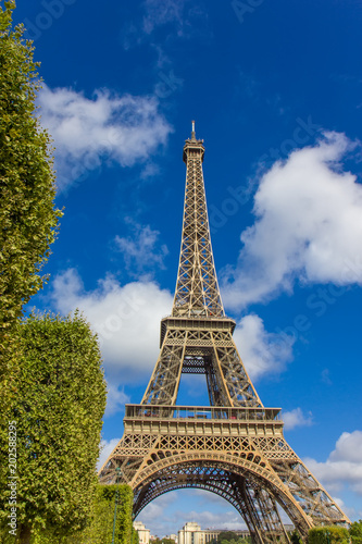 Fototapeta Naklejka Na Ścianę i Meble -  Eiffel tower, Paris, France