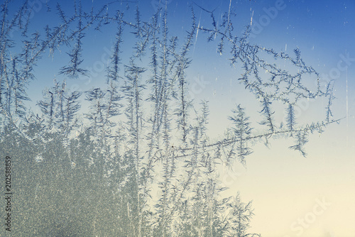 Frost bites on a window on a cold winter