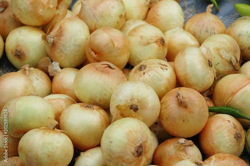 Onions for cooking at market