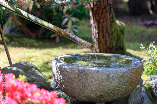Beautiful Japanese Garden in Portland, Oregon © yooranpark