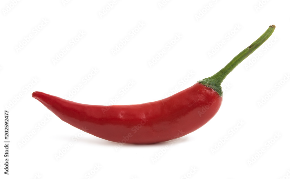 red chili pepper isolated