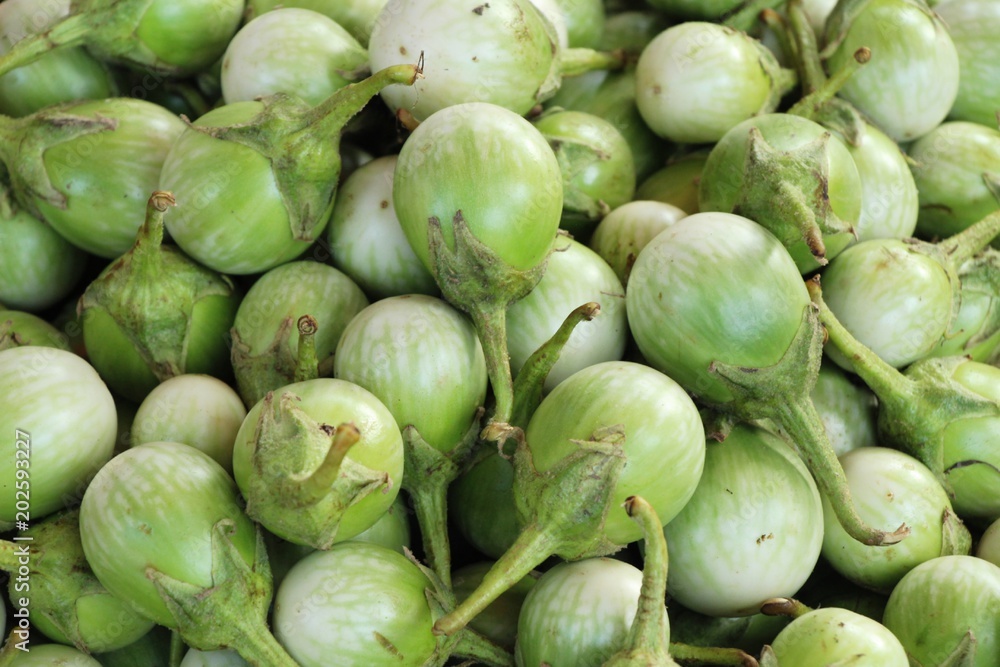 Fresh eggplant green organic at street food Fresh eggplant green organic at street food