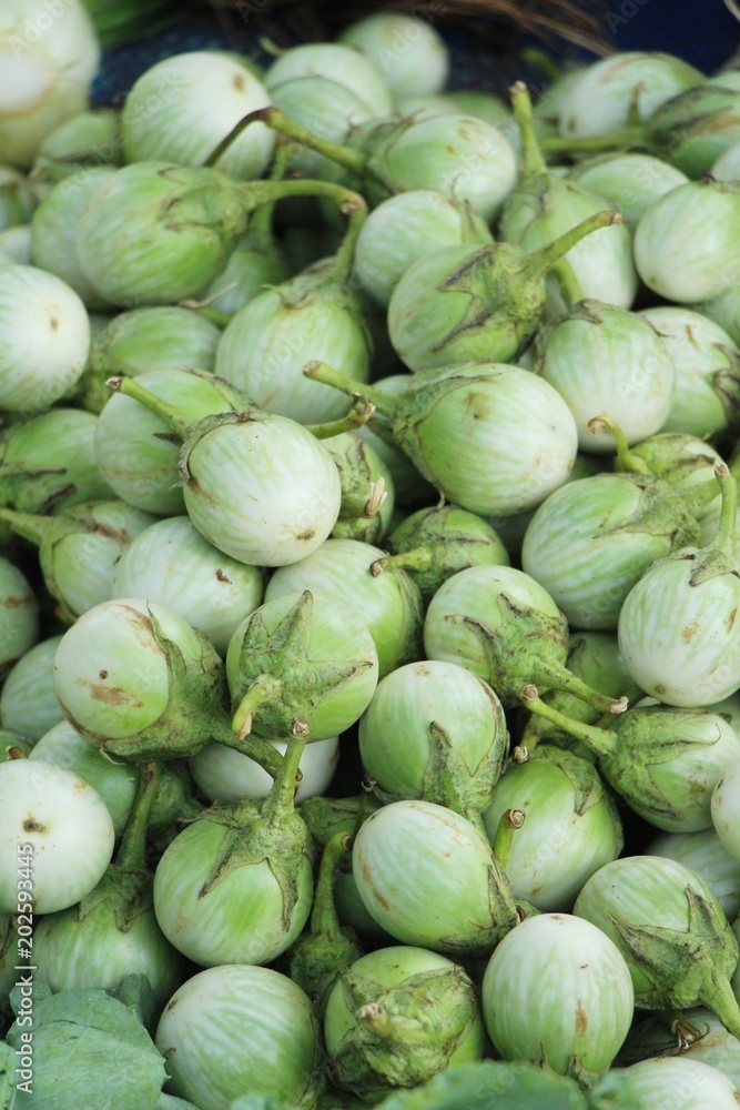 Fresh eggplant green organic at street food Fresh eggplant green organic at street food