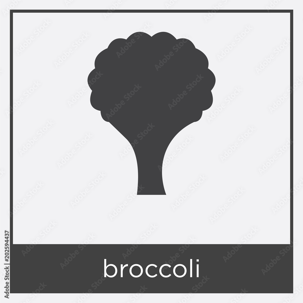 broccoli icon isolated on white background broccoli icon isolated on white background
