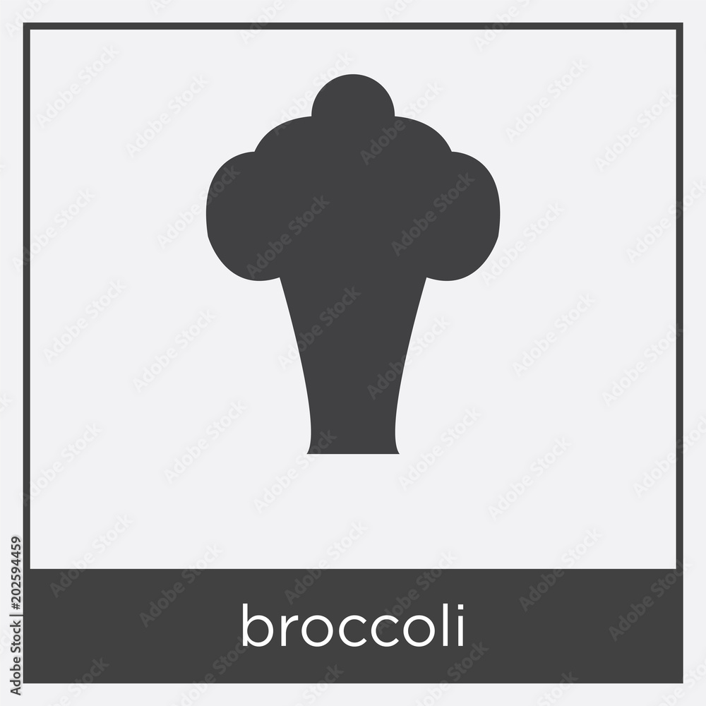broccoli icon isolated on white background broccoli icon isolated on white background