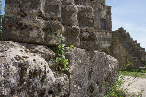 Old Ruined Farmstead and Stone Walls. Decorated part of the wall of the temple in Kutaisi
