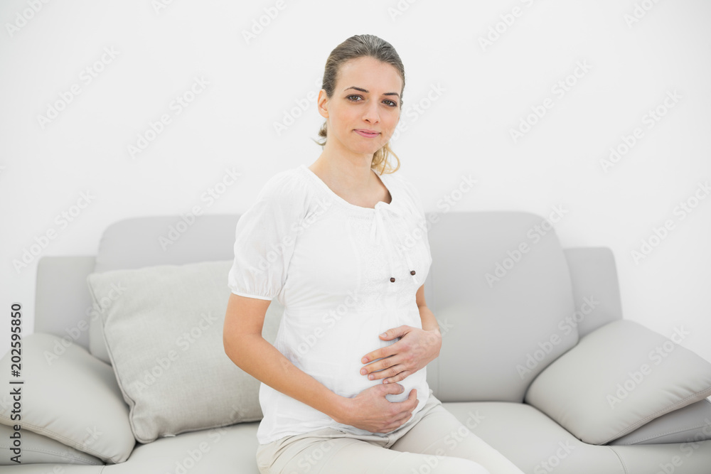 Beautiful calm pregnant woman holding her belly sitting on couch Beautiful calm pregnant woman holding her belly sitting on couch