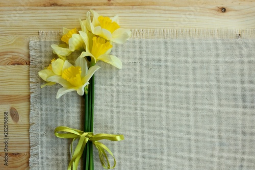Fototapeta Naklejka Na Ścianę i Meble -  flowers of daffodils