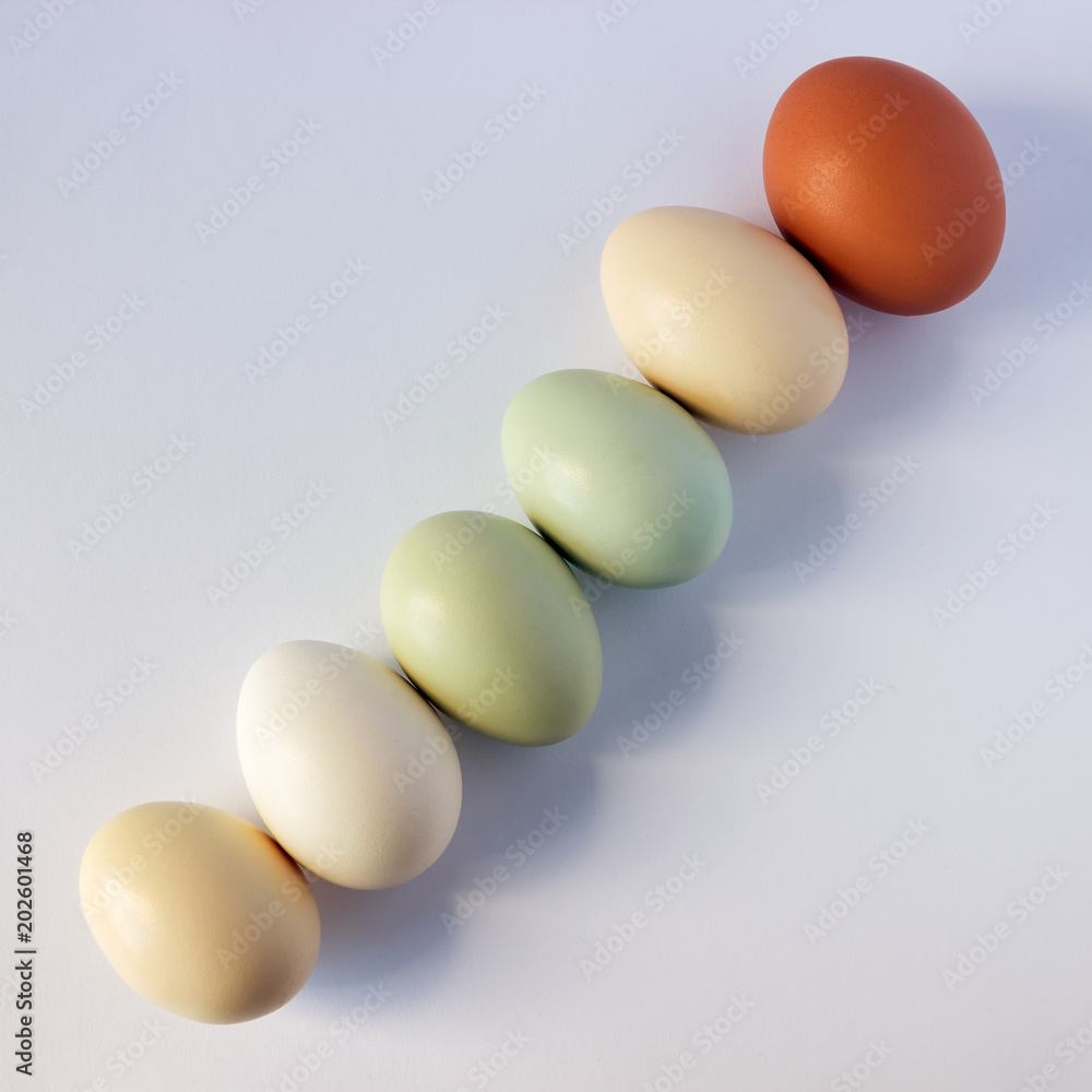 Colorful pastel eggs on a white background. Concept - Easter, healthy food, organic products, farm products. Copy space. Colorful pastel eggs on a white background. Concept - Easter, healthy food, organic products, farm products. Copy space.