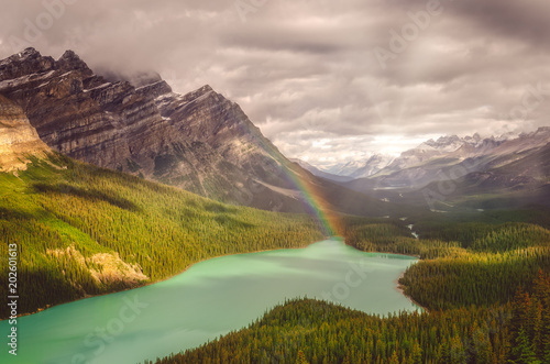 Snecin view of Peyto lake and Rocky mountains with rainbow