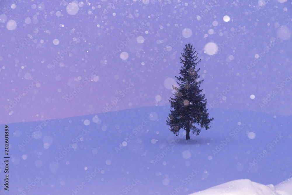 北海道のクリスマスツリーに雪の中で朝日を迎える