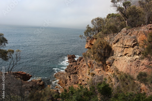 Steilküste -Tasmanien 