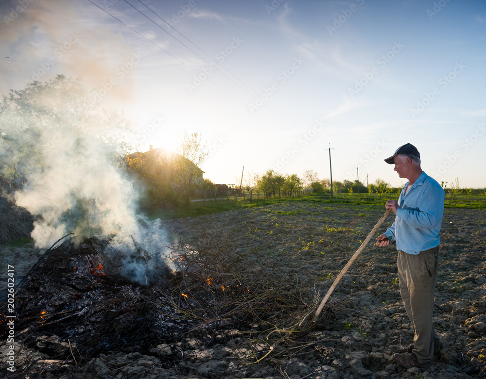 Work in the garden. Farmer burning dried branches