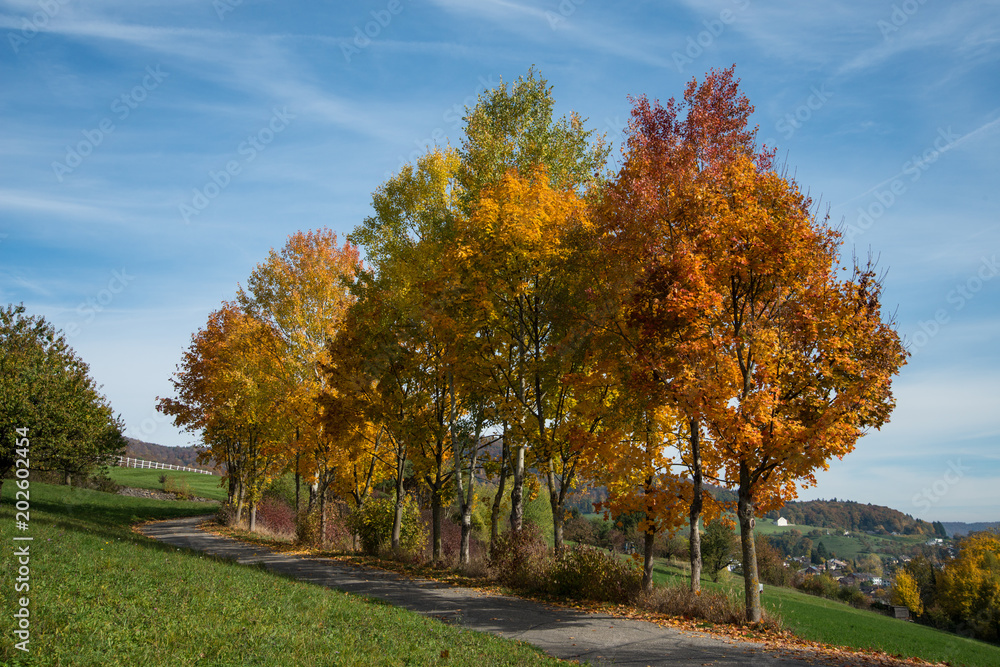 Naklejka premium Herbst