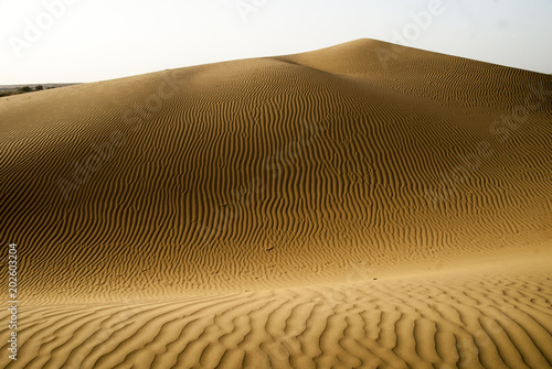 sesierto Thar Rajastan India