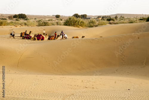 desierto Thar Rajastan India