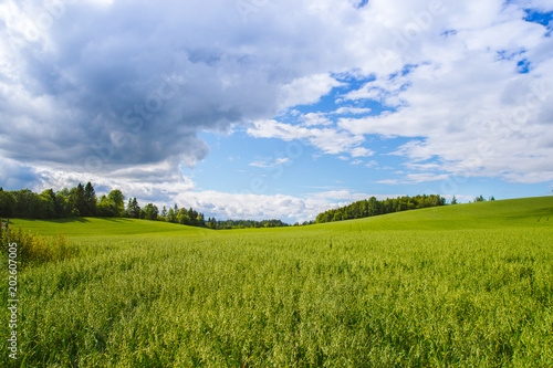 Norway green field with blue cloud sky 