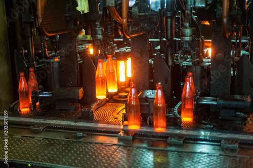 Automated line for the production of glass containers. The hot bottles are put on a moving conveyor