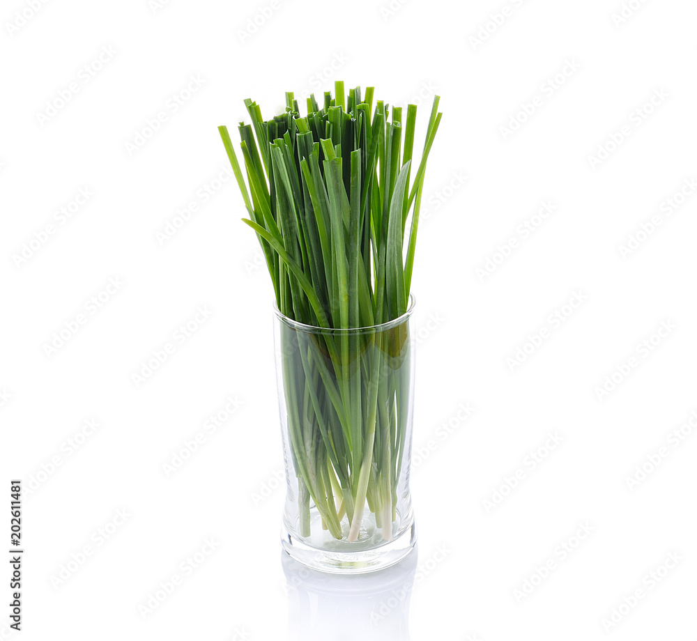 Garlic chives isolated on white background Garlic chives isolated on white background