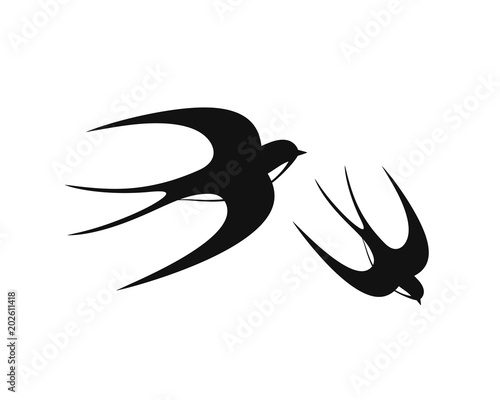 Swallow logo. Isolated swallow on white backgroun. Bird photo