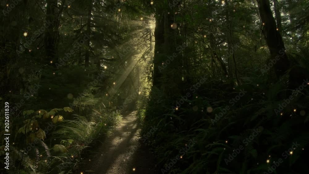 A small path leads through a magical forest. A small path leads through a magical forest.