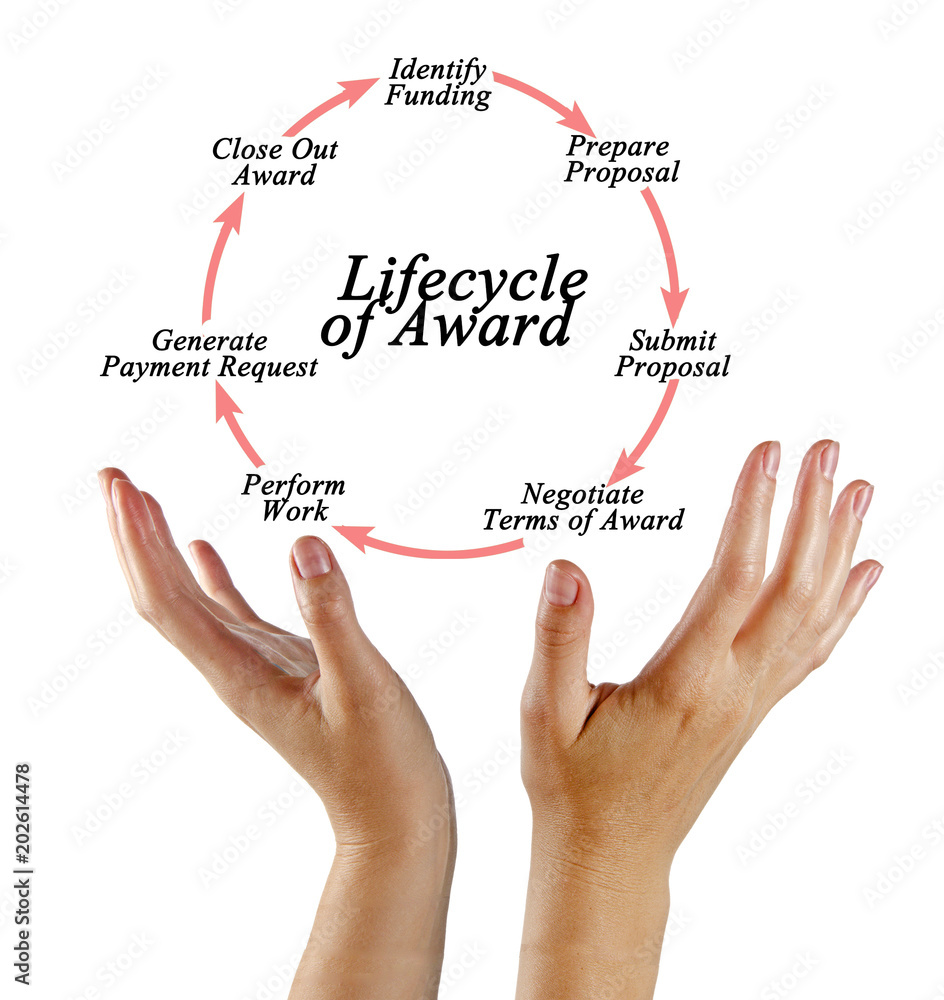 Lifecycle of Award Lifecycle of Award