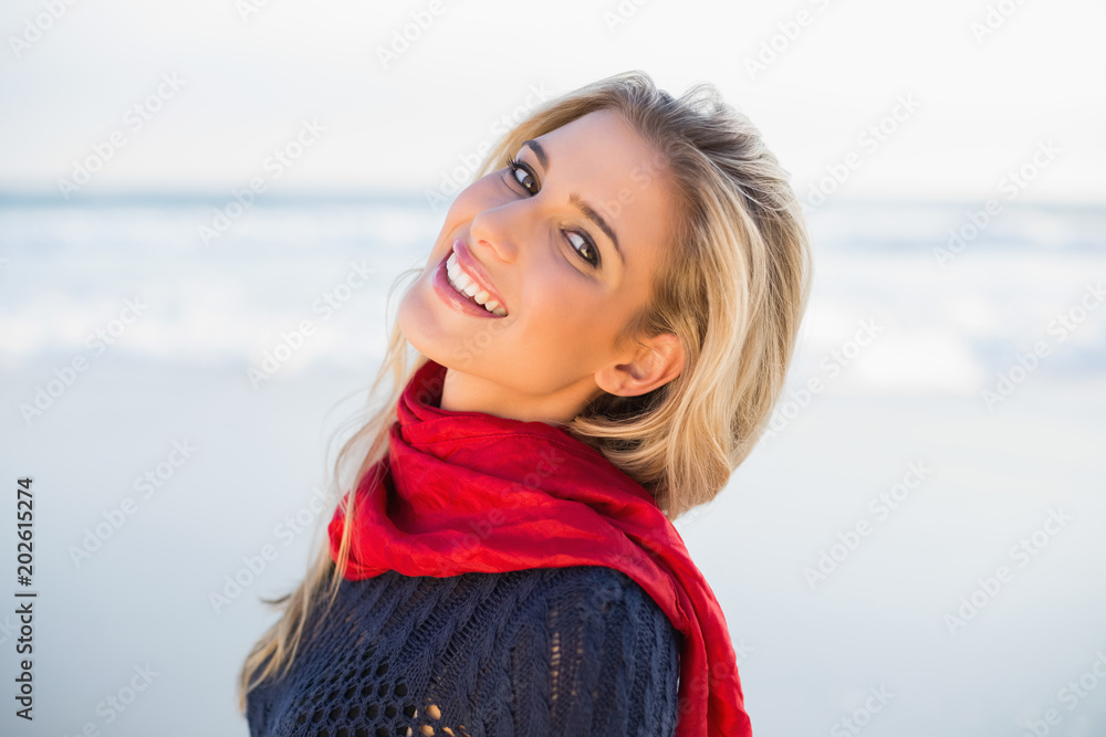 Smiling sensual blonde posing Smiling sensual blonde posing