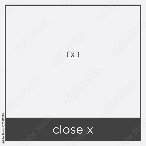 close x icon isolated on white background