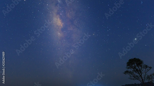 Milky way over tree. universe space shot of milky way galaxy with stars on a night sky background.