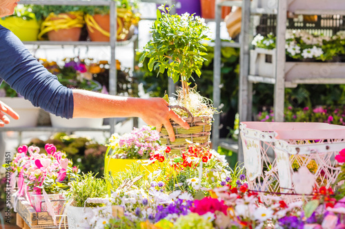 Blumenstand auf einem Wochenmarkt (stand mit blumen sortiment)
