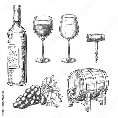 Wine sketch vector illustration. Bottle, glasses, grape vine, barrel, corkscrew, hand drawn isolated design elements.