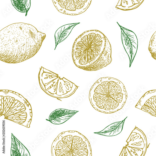 Seamless background with lemon pieces. Pattern with sketch of lemons on the white. 