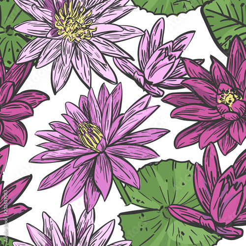 Vector seamless background with pink water lilies. Drawing seamless pattern with lotus.