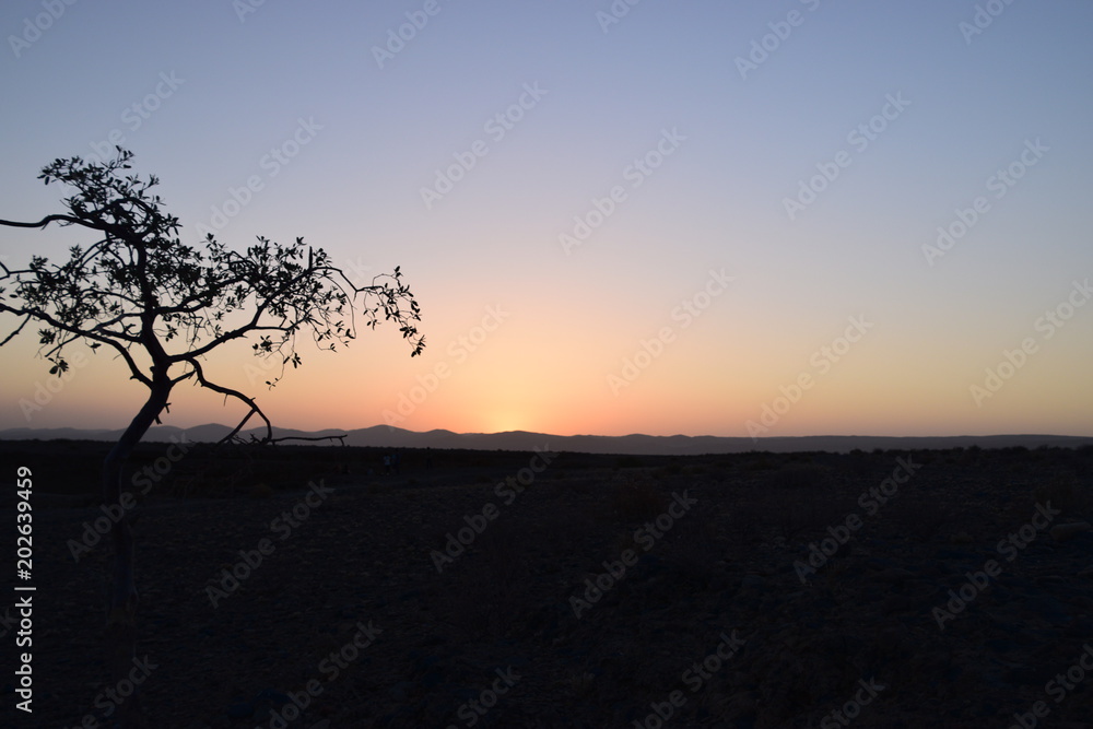 Sunset in Namib desert